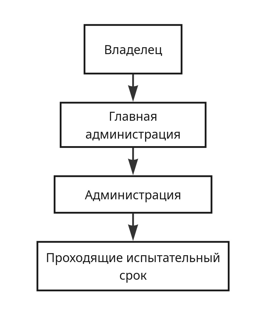 Иерархия администрации сервера thedimas, в самом верху "владелец" сервера, ниже "главная администрация", еще ниже "Администрация", в самом конце иерархии "Проходящие испытательный срок", все они связаны стрелкой идущая сверху вниз.